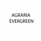 Agraria Evergreen