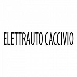 Elettrauto Caccivio logo
