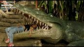 Mostra Venezia, alla SIC 7 film in concorso, dalla Colombia alla Cina