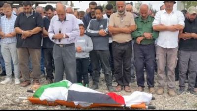 Raccoglieva olive, gli israeliani sparano e uccidono una palestinese