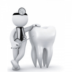 Studio Dentistico Salvadori Dr. Renato Odontoiatra logo