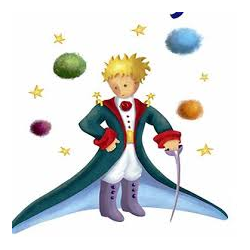 Il Principino Baby Parking logo