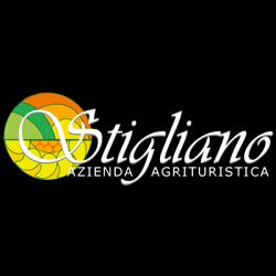 Azienda Agrituristica Stigliano logo