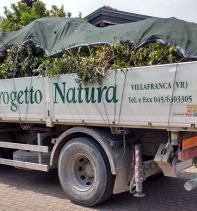 ᐅ Vivai Progetto Natura a Villafranca Di Verona (VR)