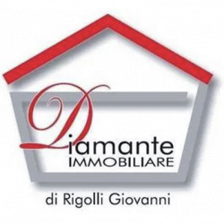 Agenzia Immobiliare Diamante logo