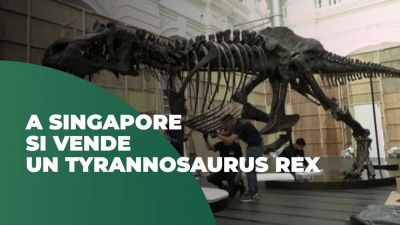 A Singapore in mostra un Tyrannosaurus rex