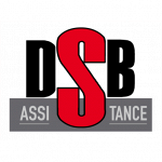 DSb Assistance - investigazioni e Sicurezza