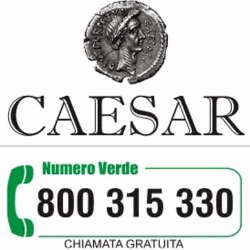 Caesar Traduzioni Professionali, Tecniche e Giurate logo