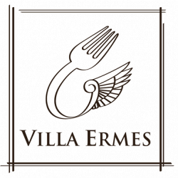 Villa Ermes logo