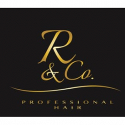 Romina Vallone Stylist logo