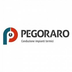 Pegoraro Mg logo