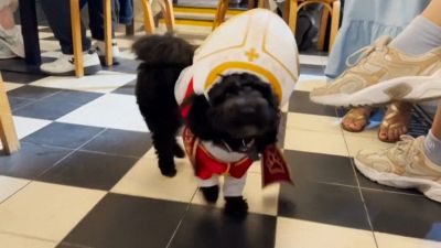 Habemus puppy: il cane Romeo vestito da papa fa sorridere