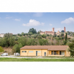 Laboratorio Falaschi Sergio dal 1925 logo