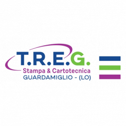 Treg Srl logo