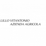 Lillo Vitantonio Azienda Agricola