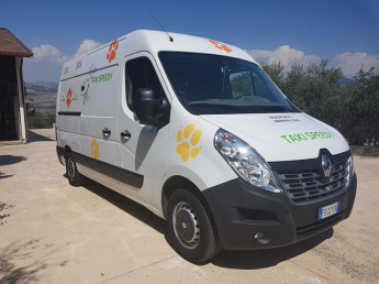 Taxy Speedy - Trasporto Animali Spedizioni Cani servizi professionali