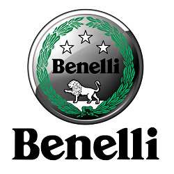 Ruote a Raggi - Benelli Pavia di Frosini Roberto logo