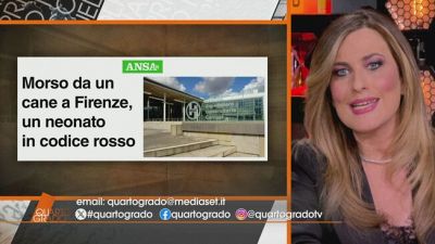 Neonato in codice rosso per il morso di un cane a Firenze