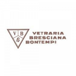 Vetraria Bresciana Bontempi