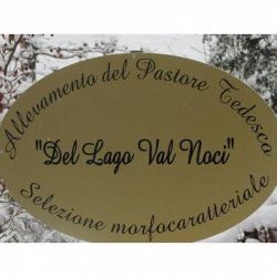 Allevamento del Pastore Tedesco Lago Val Noci logo