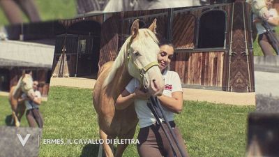 Ermes, il cavallo di Elettra Lamborghini