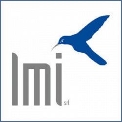 Lmi logo