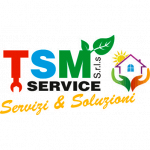 Tsm Service