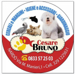 Cesare Bruno Vendita Cereali e Mangimi