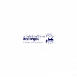 Falegnameria Benvegnu' logo