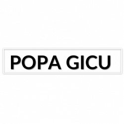 Impresa Edile di Gicu Popa logo