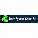 Mare System Group