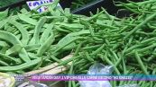 Dieta vegetariana: è solo una moda o una scelta sostenibile?