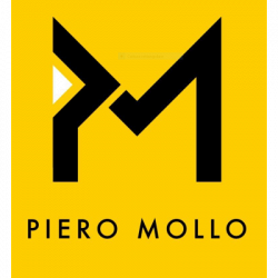 Piero Mollo S.r.l. - Zanussi Professional logo