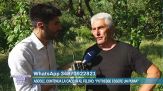 Ascoli, caccia al felino: la testimonianza