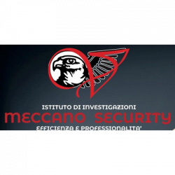 Istituto investigativo Meccano Security logo