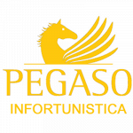 Studio Pegaso Infortunistica