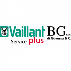 Vaillant Service - Bg logo
