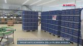 Gli Stati Uniti chiedono le uova all'Italia per Pasqua