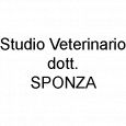 Foto dell'attività