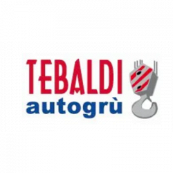 Tebaldi Autogrù logo