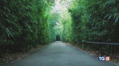 Il labirinto della Masone