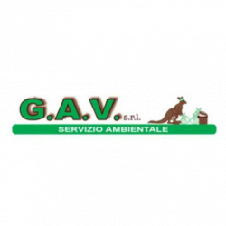Gav logo