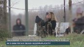 Trevignano, il bilancio dell'associazione di Gisella