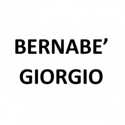 Bernabè Giorgio logo