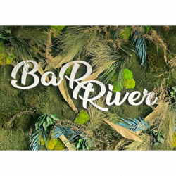 Bar River logo