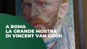 Van Gogh in mostra a Roma: un viaggio di 50 opere