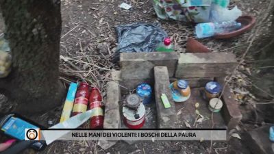 Nelle mani dei violenti: i boschi della paura