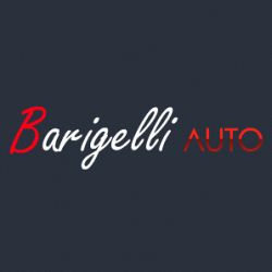 Barigelli Auto logo