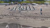 Allenamento in spiaggia per il Manchester City
