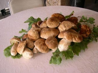 Trattoria Genuisi' cucina territoriale funghi